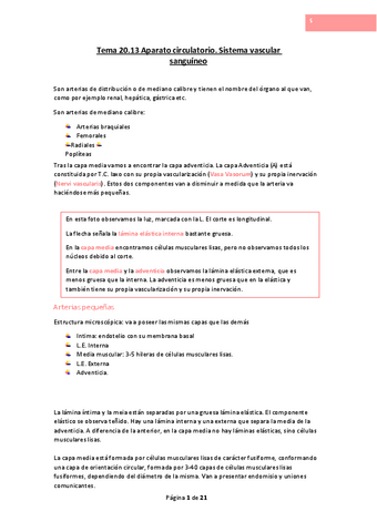Tema-20.pdf