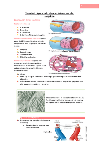 Tema-20.pdf