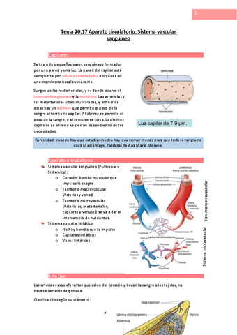 Tema-20.pdf