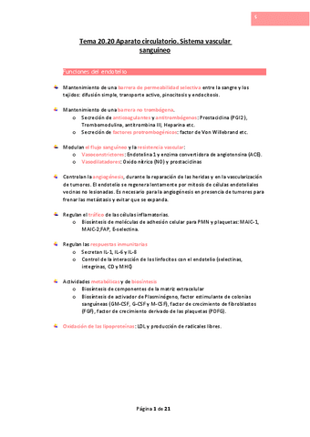 Tema-20.pdf