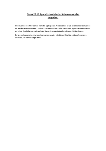 Tema-20.pdf
