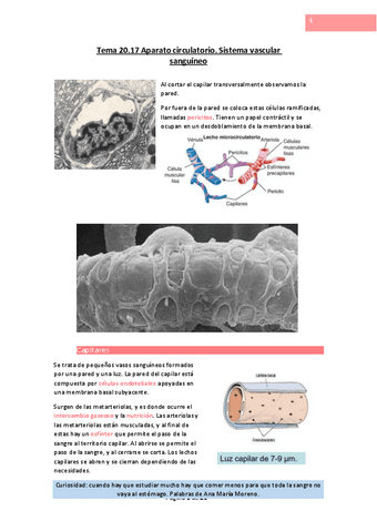 Tema-20.pdf
