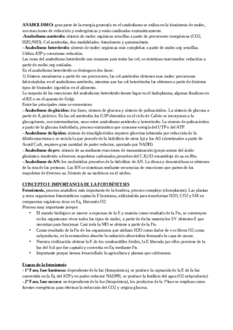 NUTRICION-CELULAR-PARTE-3.pdf
