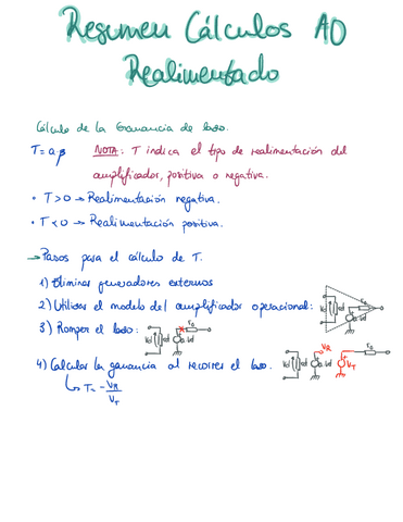 ResumenCalculosAORealimentado.pdf