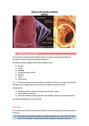 Tema-21.pdf