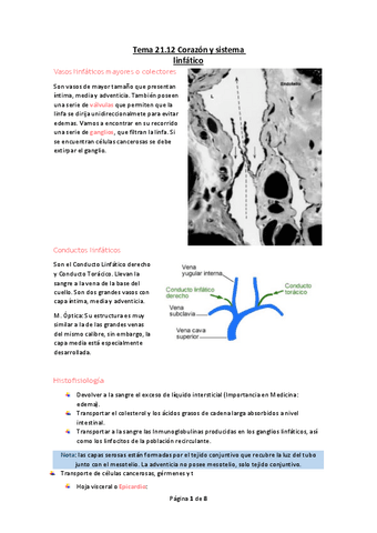 Tema-21.pdf