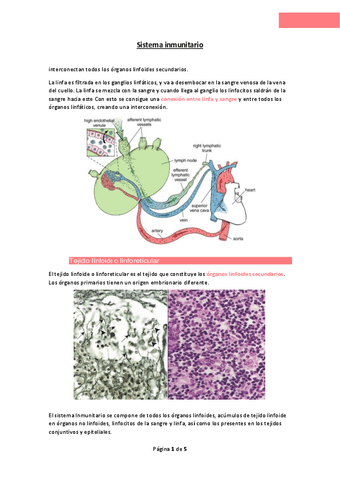 Sistema-inmune-2.pdf