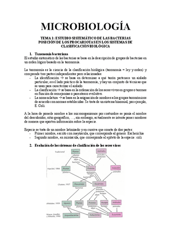 MICRO-II-3-primeros-temas.pdf