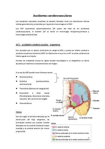 Accidentes-cerebrovasculares.pdf