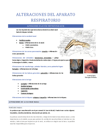 Tema-2.-Aparato-respiratorio.pdf