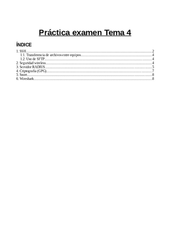 Practica-Tema-4-Seguridad-informatica.pdf