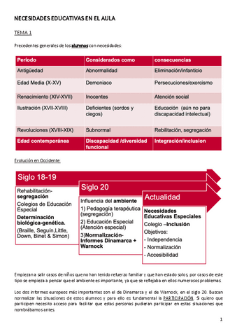 TEMA-1-NECESIDADES-EDUCATIVAS-EN-EL-AULA.pdf