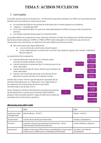 T5-Acidos-nucleicos.pdf