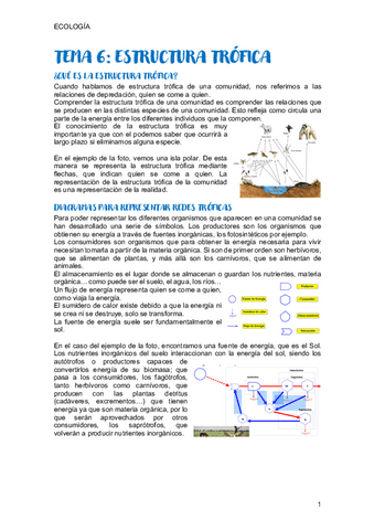 TEMA-6-ECOLOGIA.pdf