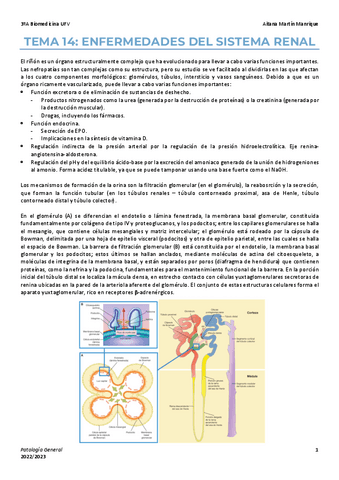 Tema-14-enf-sistema-renal.pdf