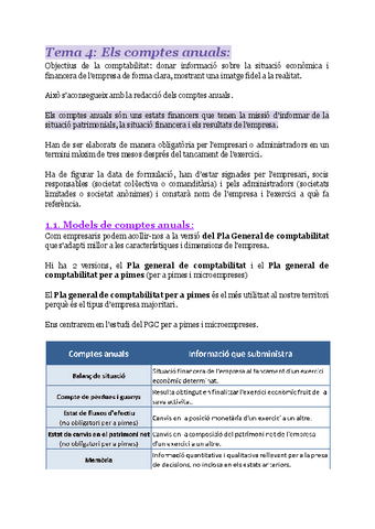 Els-comptes-anuals.pdf