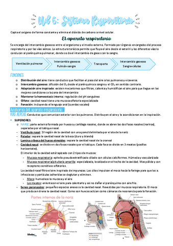 UD-6-FG.pdf