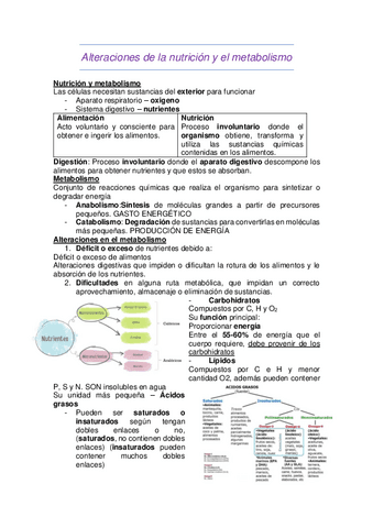 unidad-11-fisiopatologia.pdf
