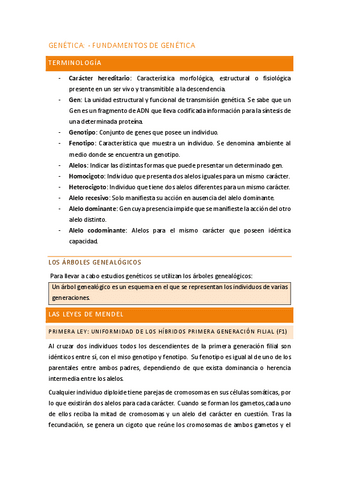 genetica.pdf