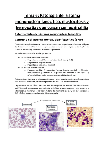 Tema-6-SMF-mastocitosis-y-eosinofilia.pdf