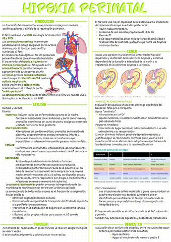 Hipoxia-neonatal.pdf