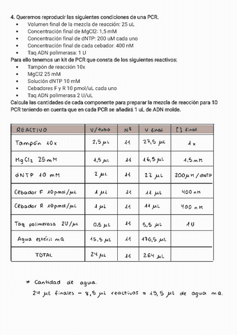 BMC-Problema-master-mix.pdf