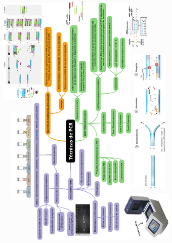 BMC-Tecnicas-PCR-esquema.pdf