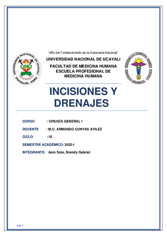 Incisiones.pdf