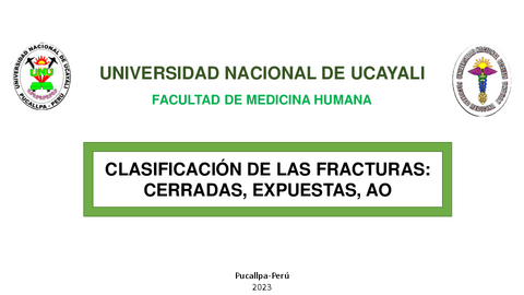 Clasificacion-de-las-fracturas..pdf