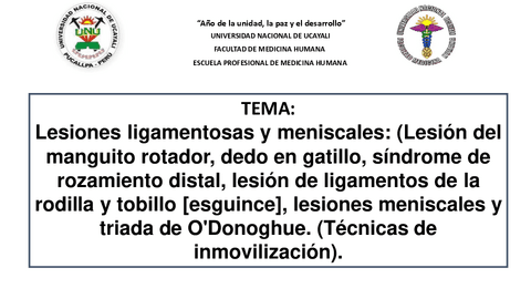 Lesiones-ligamentosas-y-meniscales..pdf
