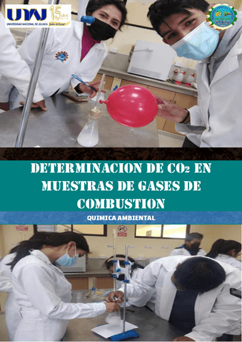 PRACTICA-N-06-DETERMINACION-DE-CO2-EN-MUESTRAS-DE-GASES-DE-COMBUSTION.pdf