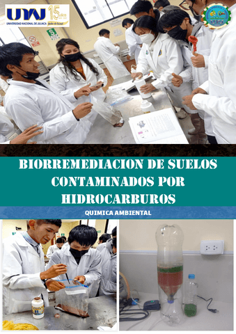 PRACTICA-N-07-BIORREMEDIACION-DE-SUELOS-CONTAMINADOS-POR-HIDROCARBUROS.pdf