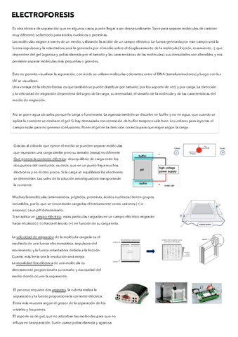 Electroforesis.pdf
