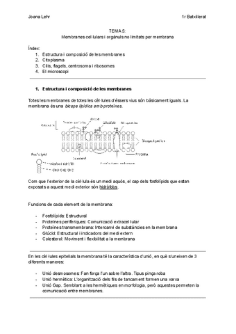 Tema-5-Membranes-cellulars-i-organuls-no-limitats-per-membrana.pdf