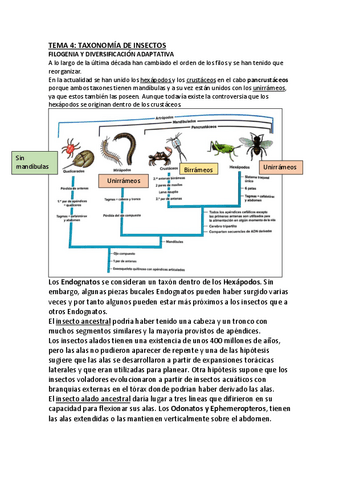 Zoologia-4-5-6-7.pdf