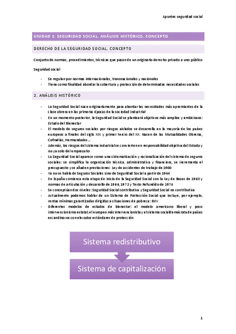 Apuntes-seguridad-social.pdf