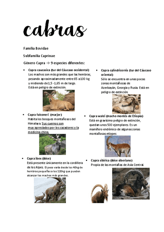 CABRAS.pdf