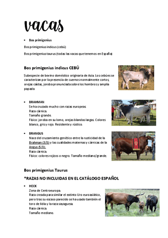 VACAS.pdf