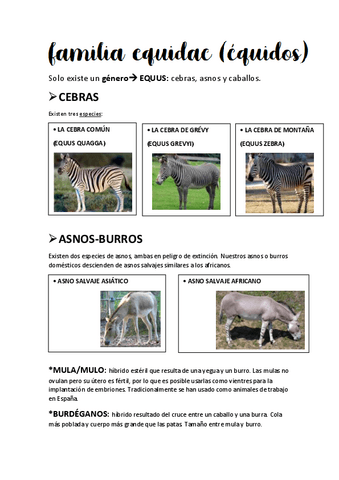 CABALLOS.pdf