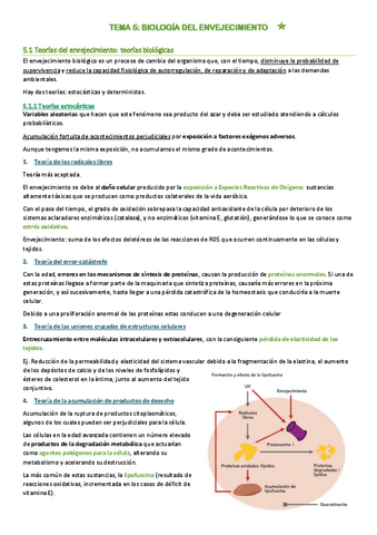 TEMA-5-envejecimiento.pdf