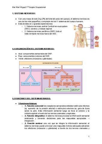 TEMA-3-PARTE-1-NEUROFISIOLOGIA.pdf