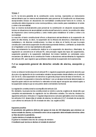 TEMA-7.pdf
