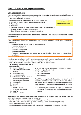 Organizaciones-1.pdf