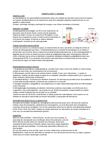 HEMATOLOGIA-ANEMIAS-T1.pdf