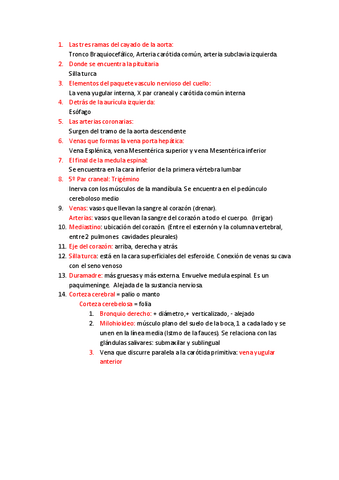 Preguntas-Anatomia-1.pdf