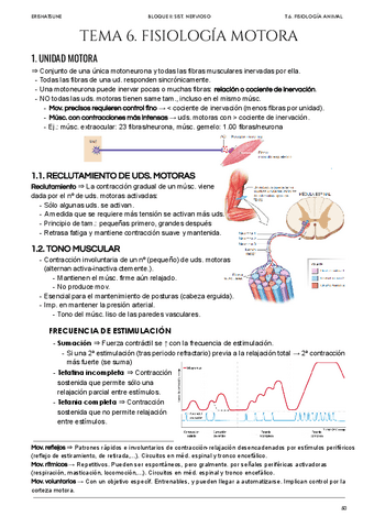 Tema-6-Fisiologia-motora.pdf