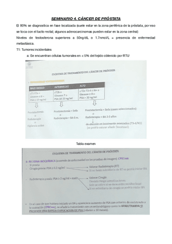 SEMINARIO-CANCER-DE-PROSTATA.pdf