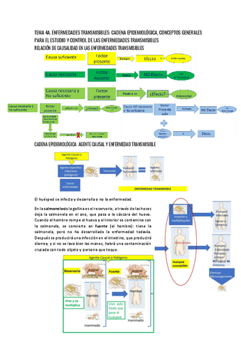TEMA-4A.-ENFERMEDADES-TRANSMISIBLES.-CADENA-EPIDEMIOLOGICA-CONCEPTOS-GENERALES.pdf