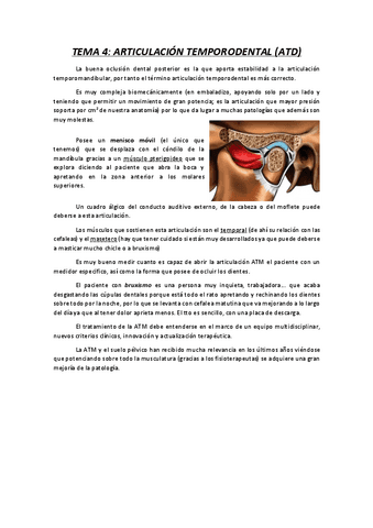 Articulacion-temporomandibular.pdf
