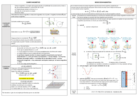 campo-magnetico-e-induccion.pdf